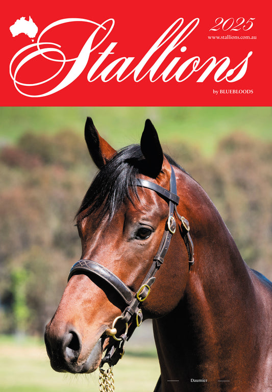 Stallions 2025
