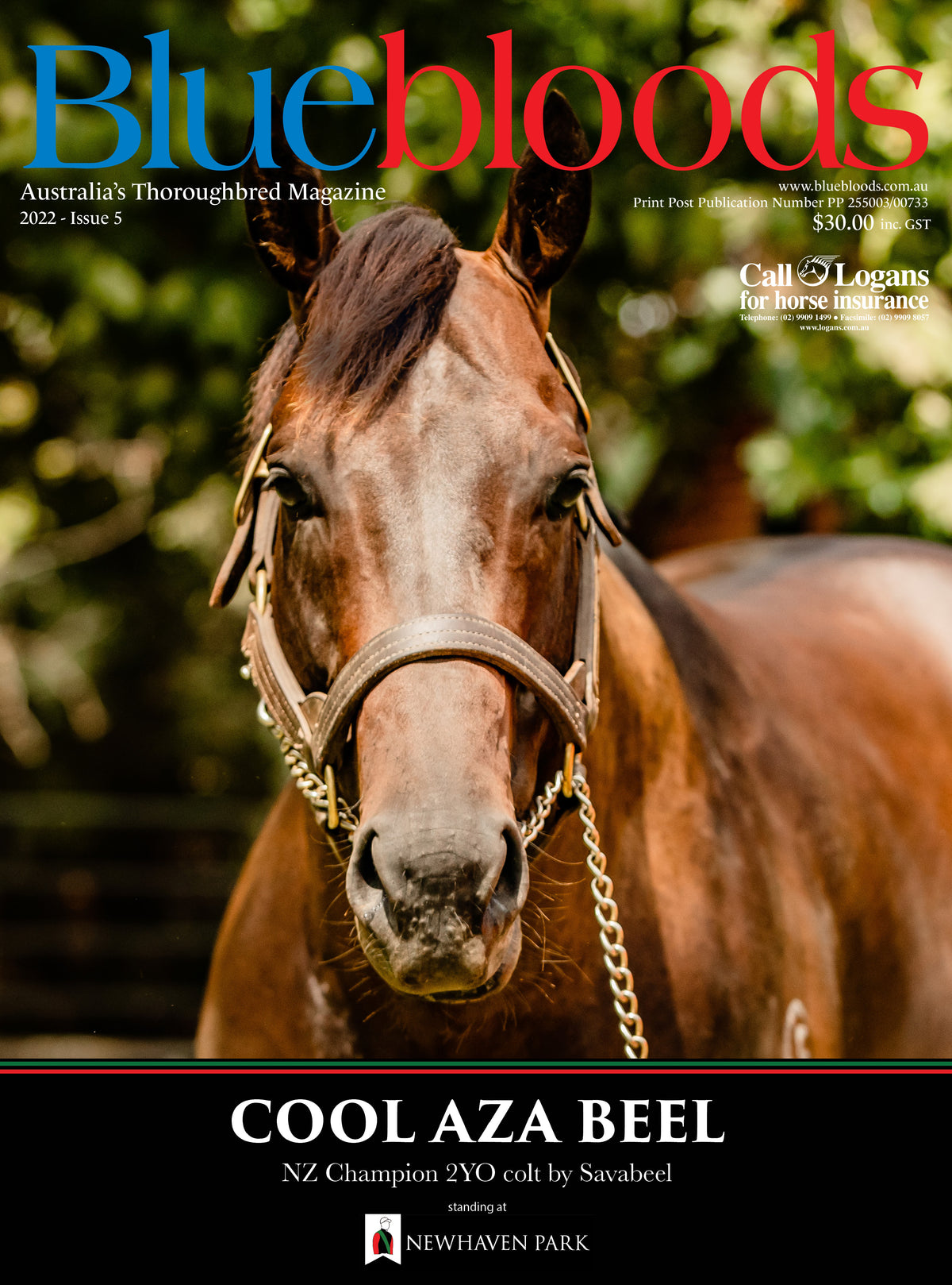 Australia's leading thoroughbred breeding magazine – Bluebloods