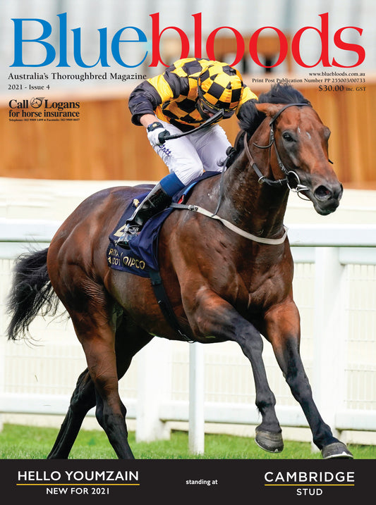 Bluebloods - International Subscription