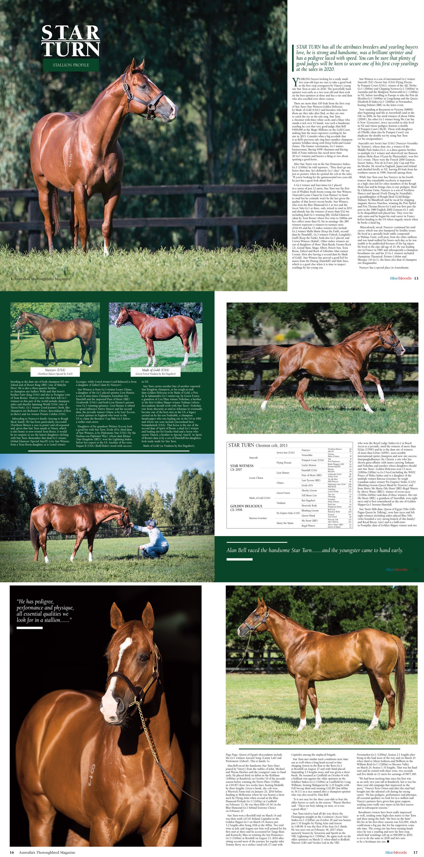 Bluebloods - International Subscription